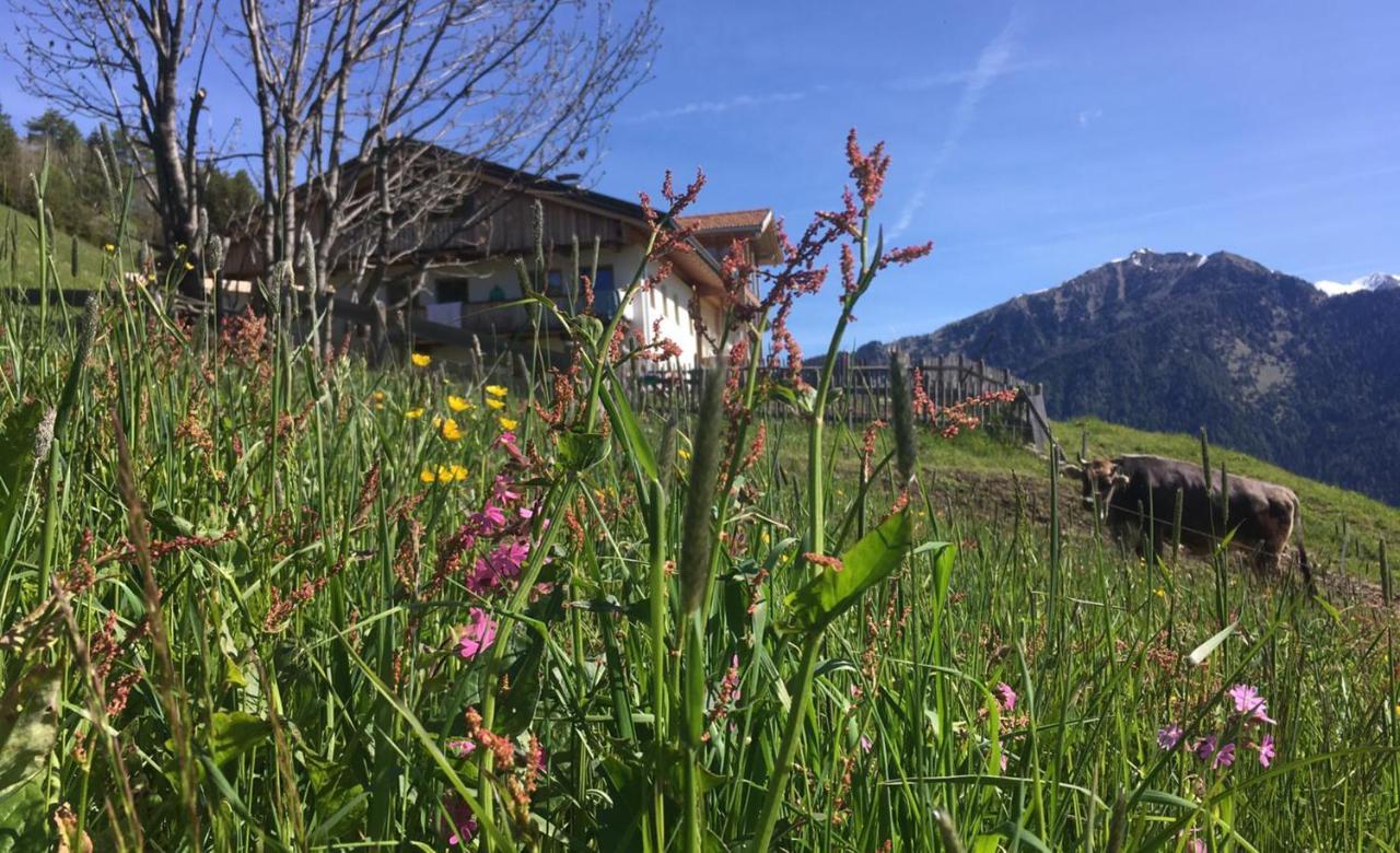 Knappnhof Campo di Trens Exterior foto